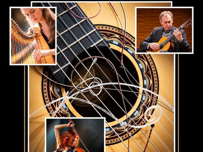 Concert | Kamermuziekserie 158 snaren