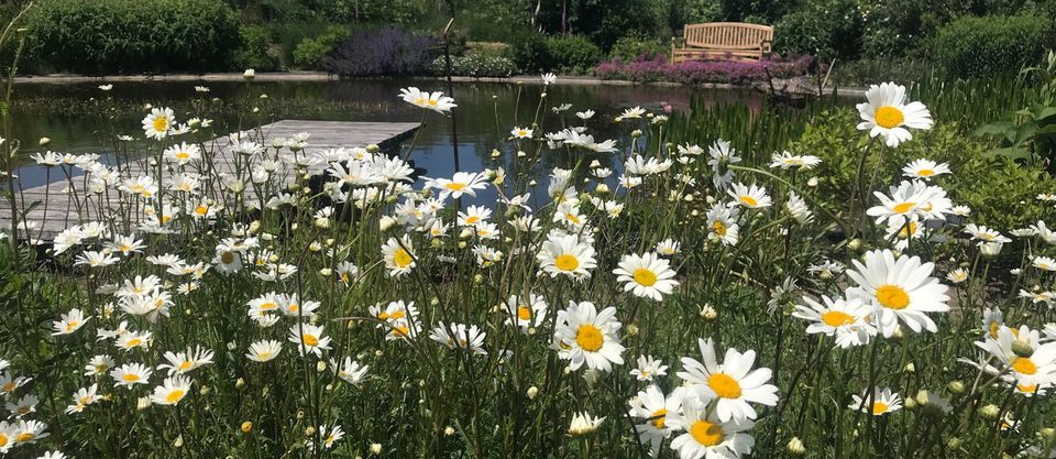 De tuin van de B&B