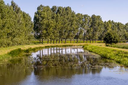 Essche Stroom - haven 2