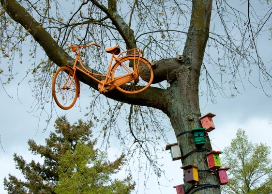 Uit de kunst fiets in boom