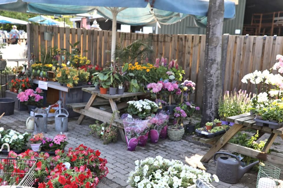 Rommelmarkt FC Winterswijk