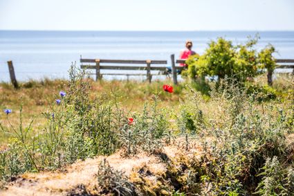 Een zomerse foto van de Mirnser kliffen in Gaasterland