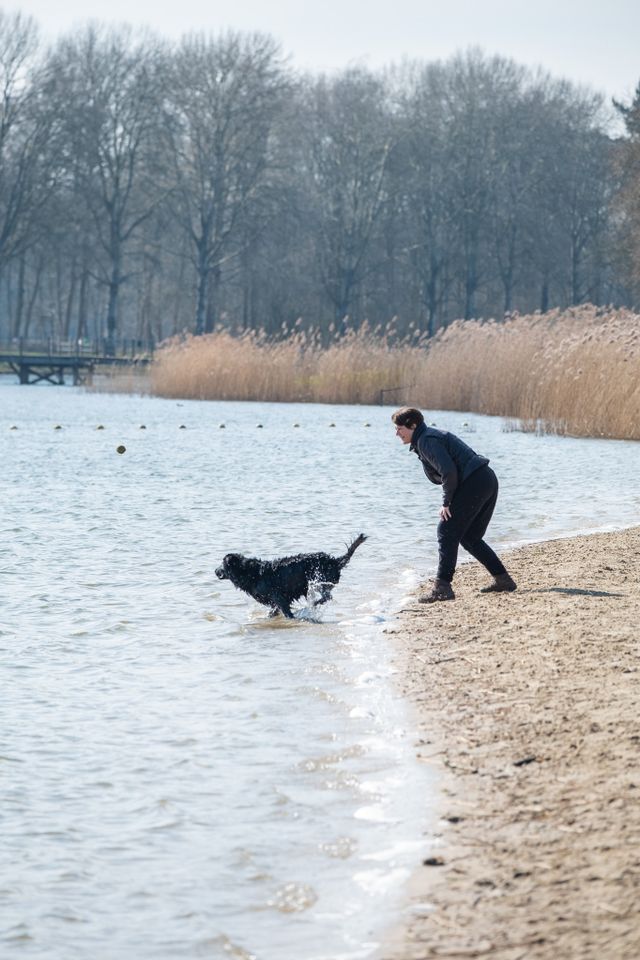 Hond met baasje op recreatiegebied