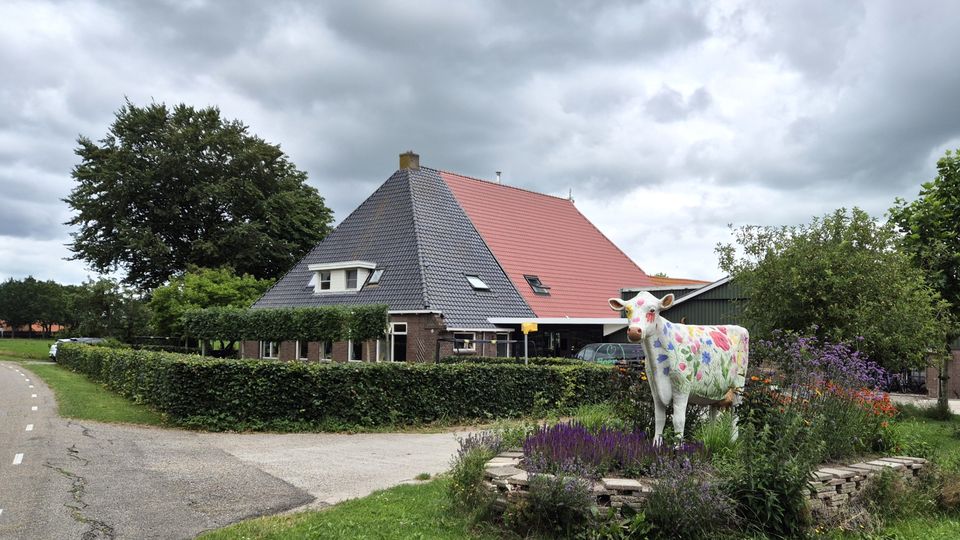 Heerenveen-De Heide: waterrijk Friesland