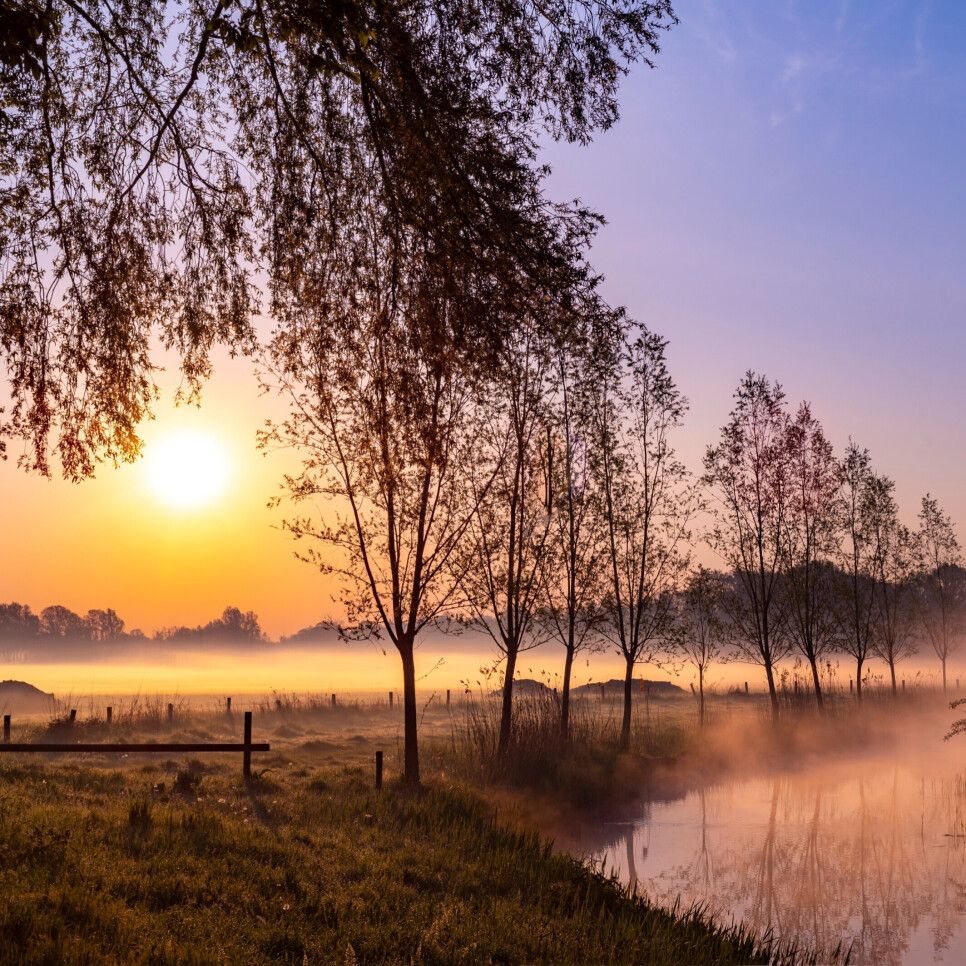 Landschap in Oisterwijk gehuld in de mist in goudbruine kleuren. Links velden met aan de rand bomen, rechts een brede sloot en boven in de foto een opkomende of ondergaande zon..