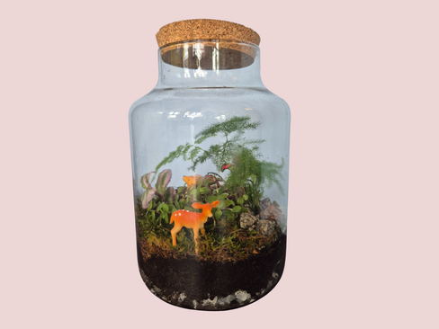 ecosysteem maken