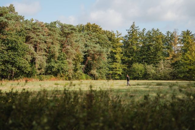 Vindplaats muntschat