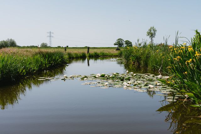 Een sloot in het landschap