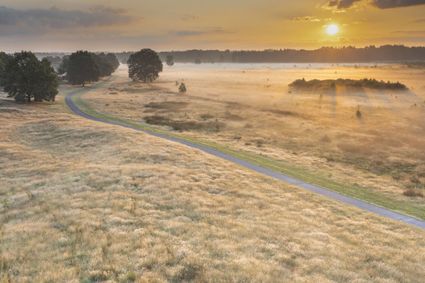 Nationaalpark Drents-Friese Wold zonsopgang wijd