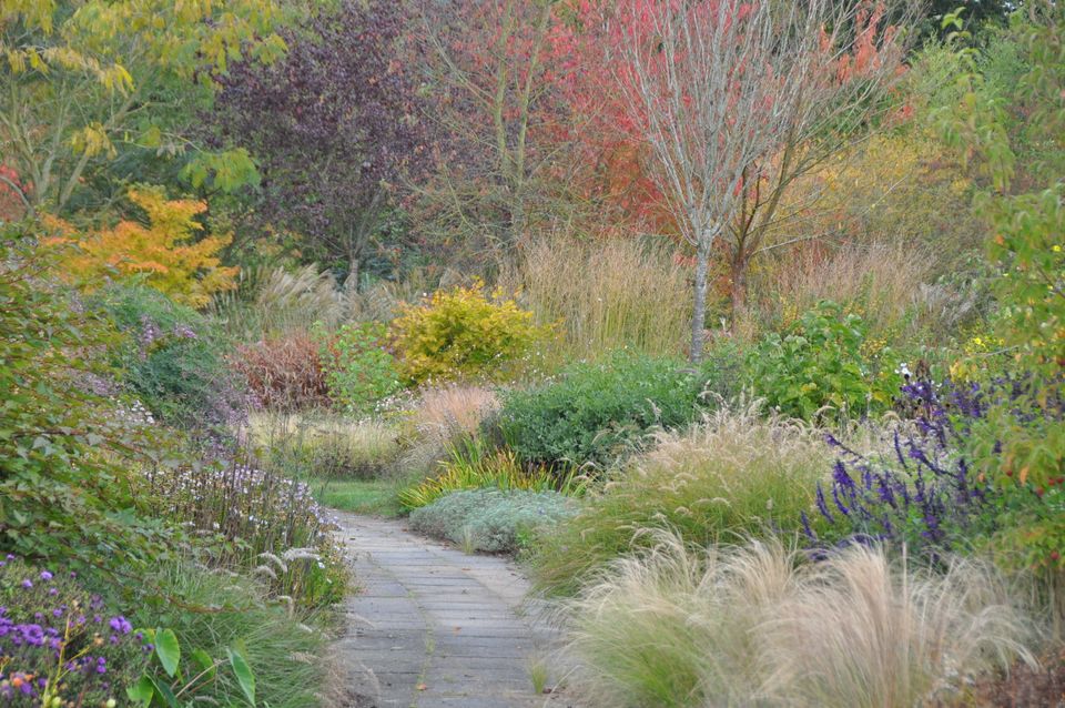 Herfst in De Prunushof