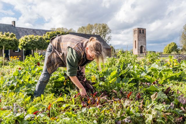 Moestuin Vaderland in Nederwetten