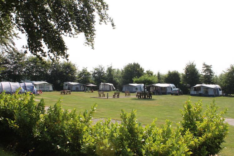 Groene struiken met daarachter een groen veld met diverse caravans.