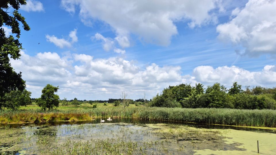 Boswachterspad Rottige Meente