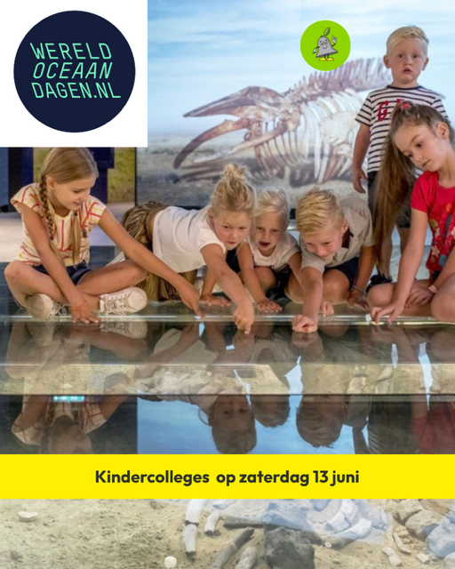 Kinderen in de afdeling 'De Peel aan Zee'