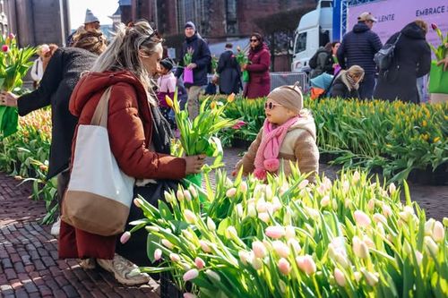 Een kindje met haar moeder die tulpen plukken
