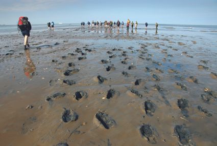 Wadlopen