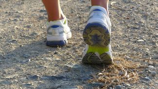 Vlagheideberg Trailrun