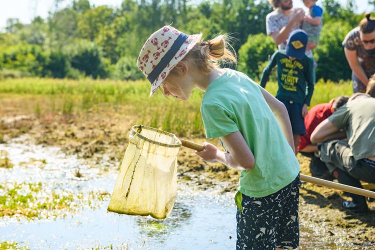 Waterbeestjes scheppen tijdens de Stadsbosdag