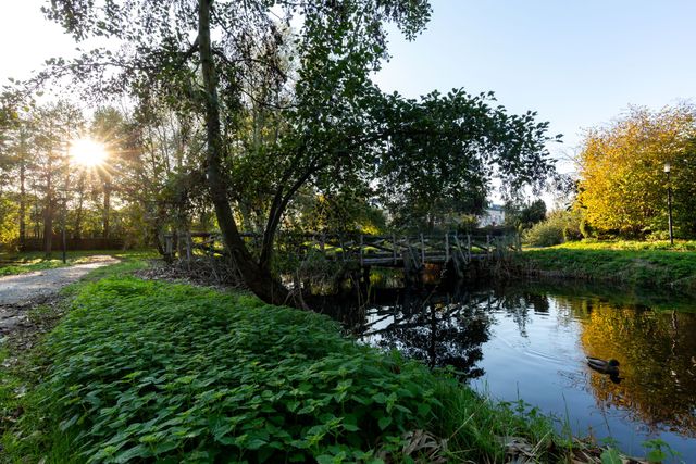Houten brug in Corbulo's kanaal