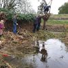 Natuurwerkdag Vlindertuin Lemmer