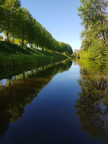 groene bomen langs het water
