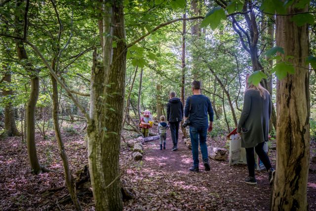 Kabouter Bos Renesse