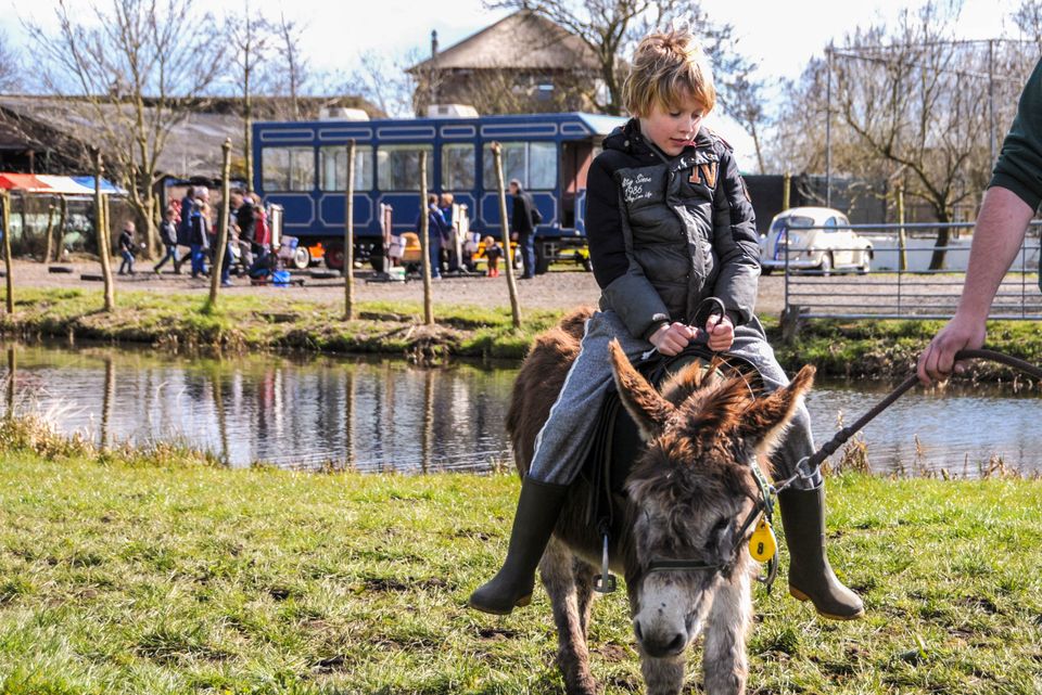 Ezelrijden voor kinderen in Woerden, Groene Hart, met een kind op een ezel langs het water tijdens een recreatieve buitenactiviteit.