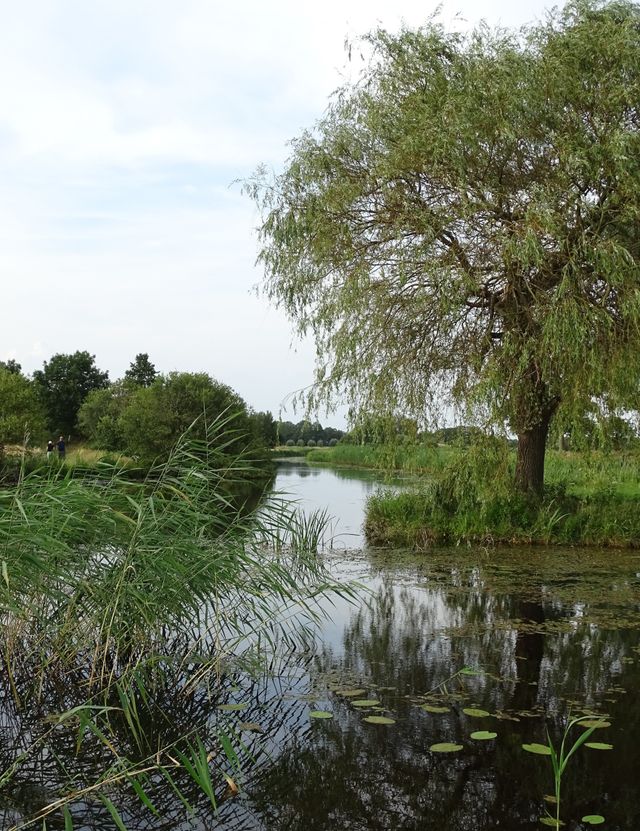 Waar Koekanger Aa en Wold Aa samenkomen en u een klein stukje de route volgt van twee Lange Afstands Wandelpaden: het Maarten van Rossumpad en het Westerborkpad