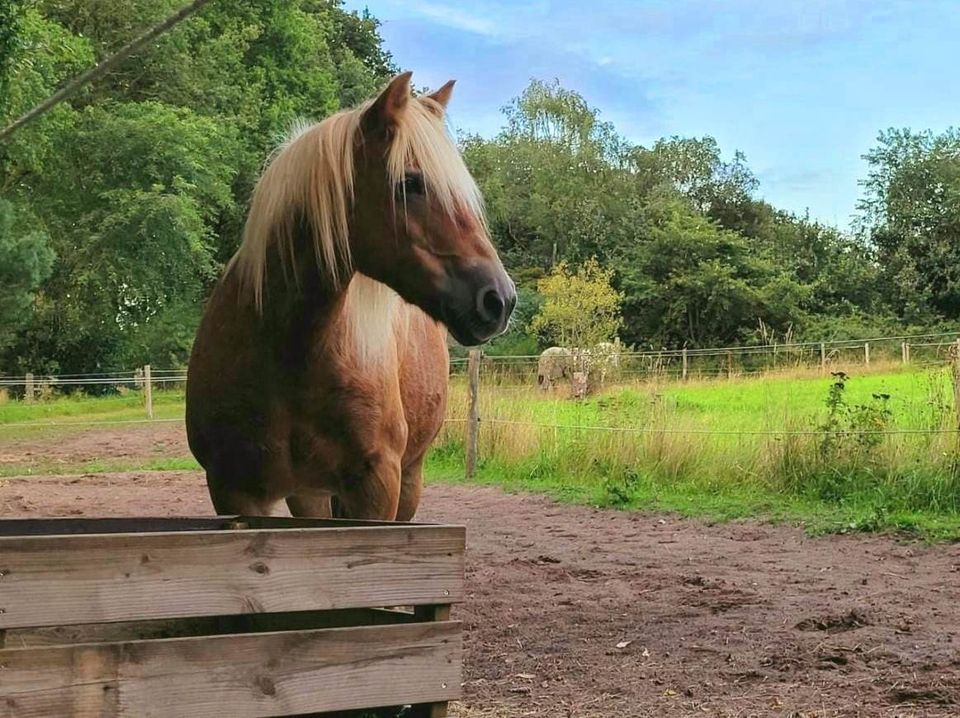 Hoeve Heide en Wold