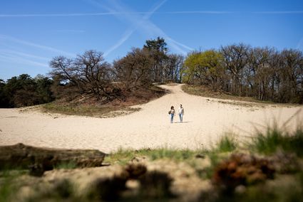 Twee mensen wandelend over een zandvlakte