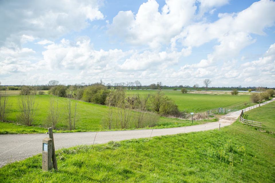 Groene velden met een wandelpad.