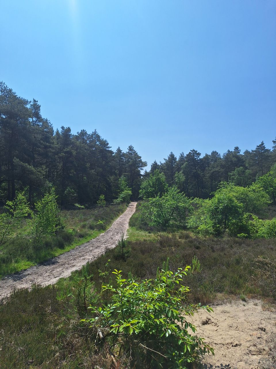 Rondje Drents-Friese Wold
