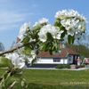 Lente met paasspeurtocht bij museum De Sukerei