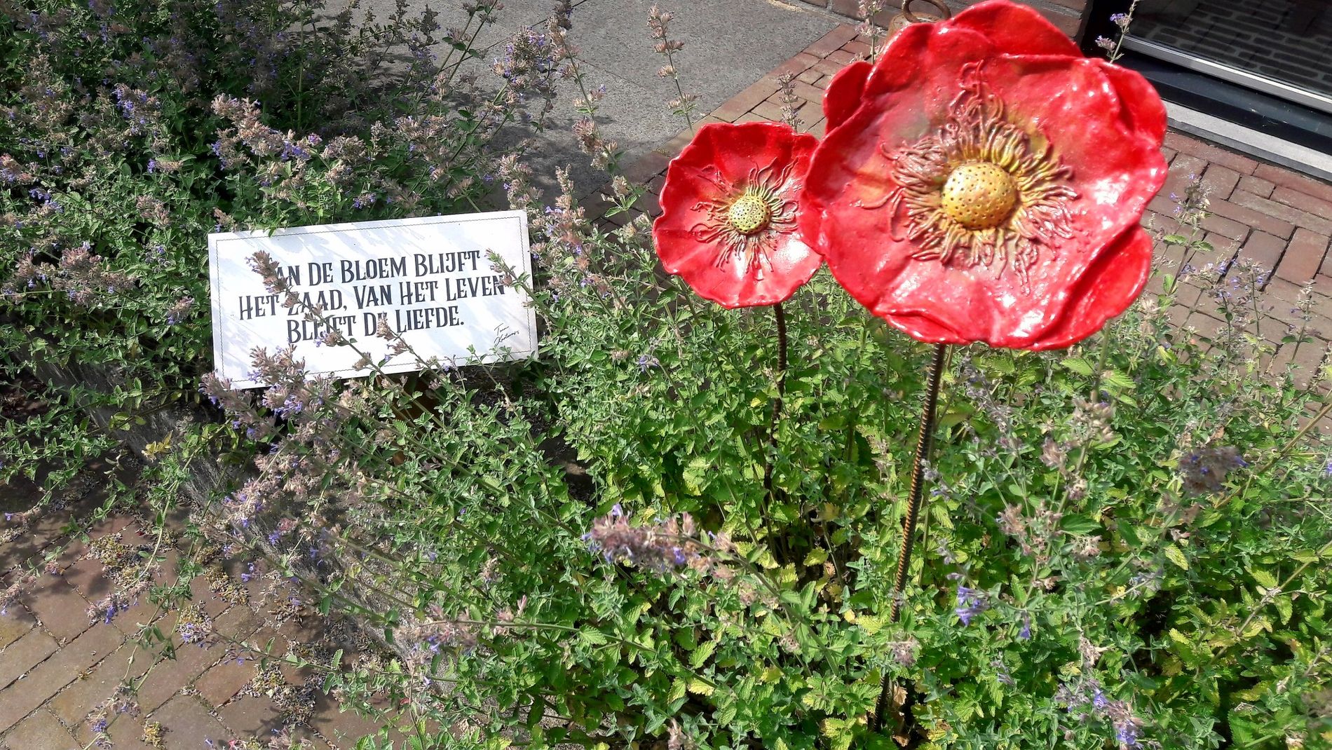 Kunsttuin Toon Kortooms Park Deurne - Bloemen
