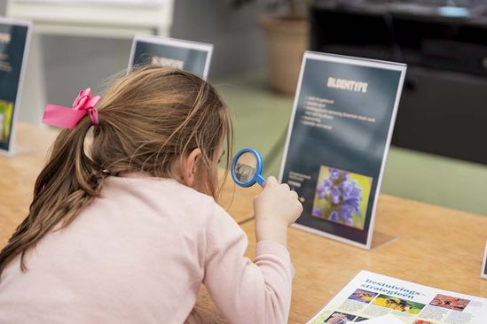 Tuinlab: Op reis met zaden