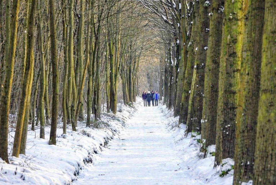 De wereld kleurt wit