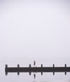 Honeyguide app