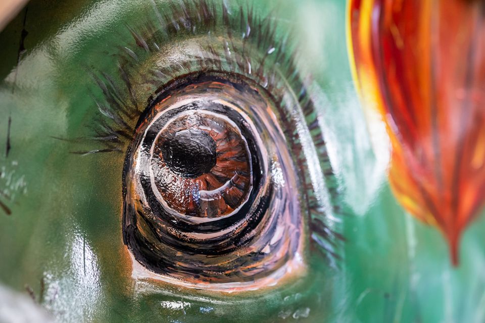 Een close-up van een oog van een van de olifantenbeelden van de Elephant Parade in Sloten en Gaasterland in 2026.