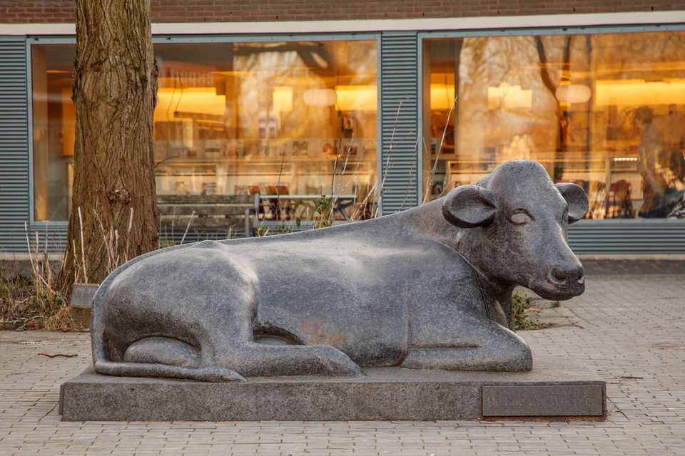 Bibliotheek Bibliotheek Harmelen, gemeente Woerden, Groene Hart, met een natuurstenen beeld van een liggende koe op het plein voor de glazen gevel, waar binnen boekenkasten en leesplekken zichtbaar zijn tijdens de workshop levensverhaal van Winny van Rij.