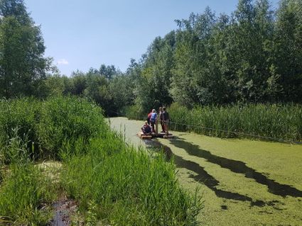 Groep mensen op sup.