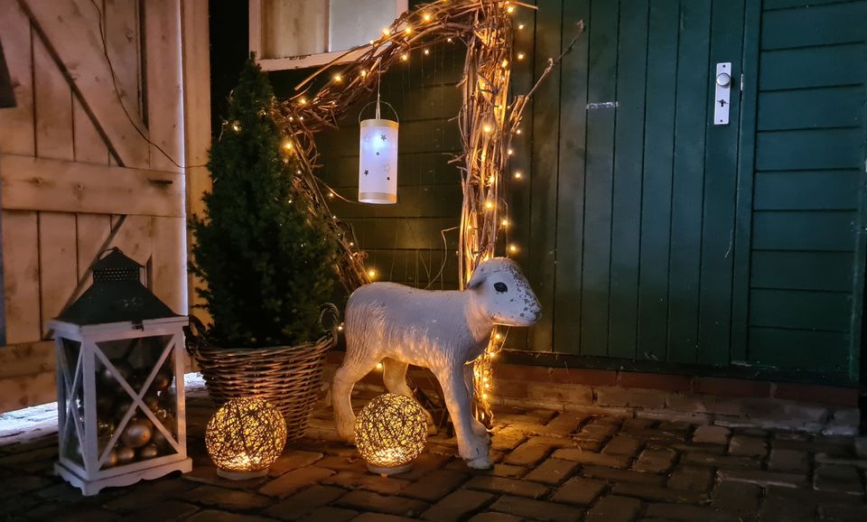 Lichtjestocht 2025 | Volg die Ster