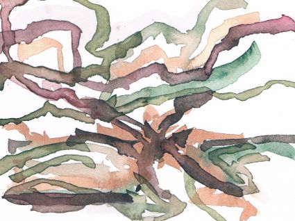 Annemieke Harkema; De Deelen, 2024, aquarel