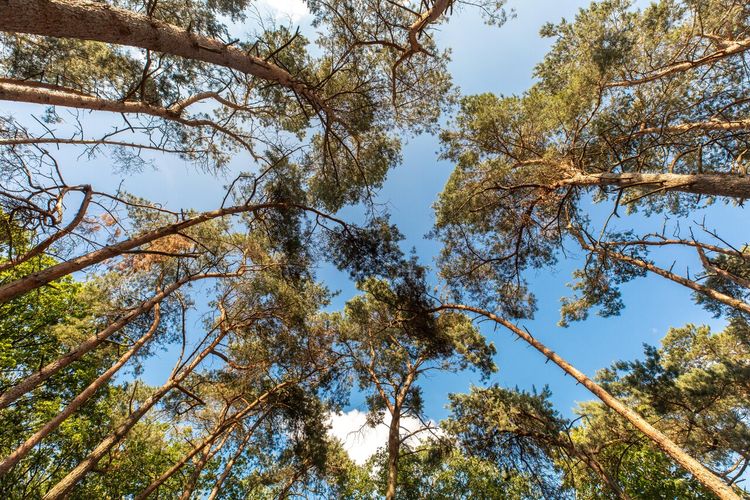 Nationaal Park De Loonse en Drunense Duinen