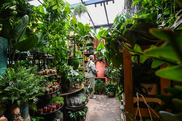 Achteraanzicht van vrouw kijkend naar planten in Delftse winkel Groene Vingers