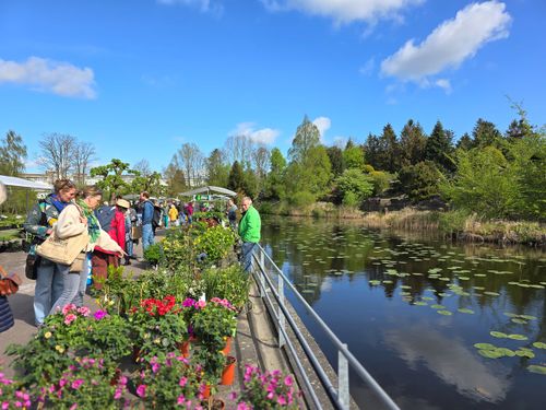 Plantenmarkt met mensen die plantjes bekijken langs het water.