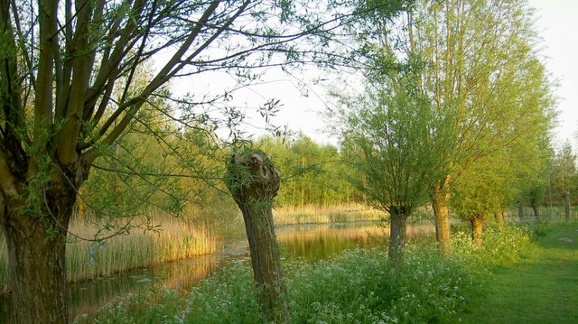 park in heeg