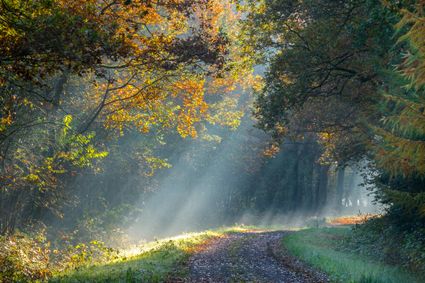 Noordsche veld