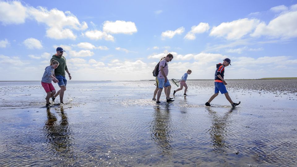 Terschelling Wad Excursie wadden