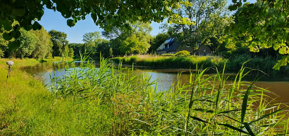 de natuur in, Dommel in Brabant