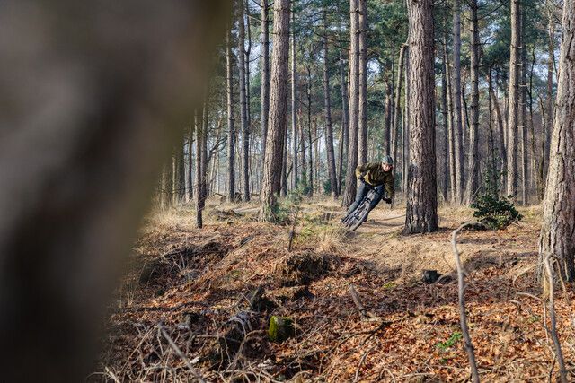 1 mountainbiker op het parcours van Best Noord